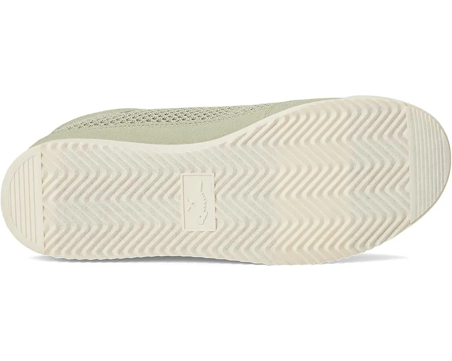 Кроссовки Rocket Dog Blink с сетчатым верхом и кожаной подкладкой