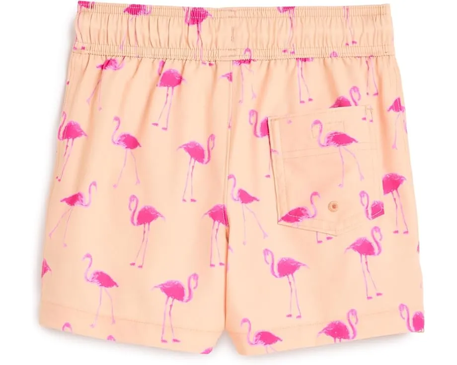 Плавки Core Poly Swim Trunks для детей от abercrombie kids