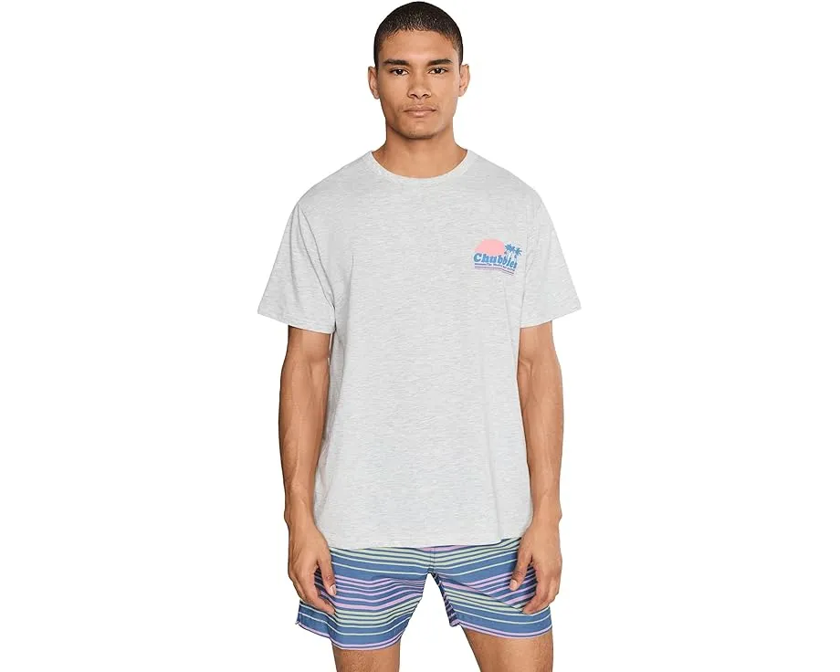 Футболка Chubbies The Ol' College Try с принтом на спине и круглым вырезом