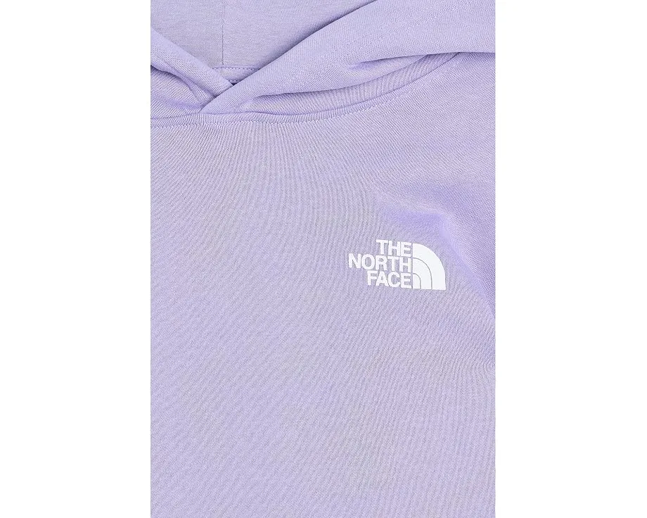 Худи The North Face Evolution Box NSE с капюшоном для детей