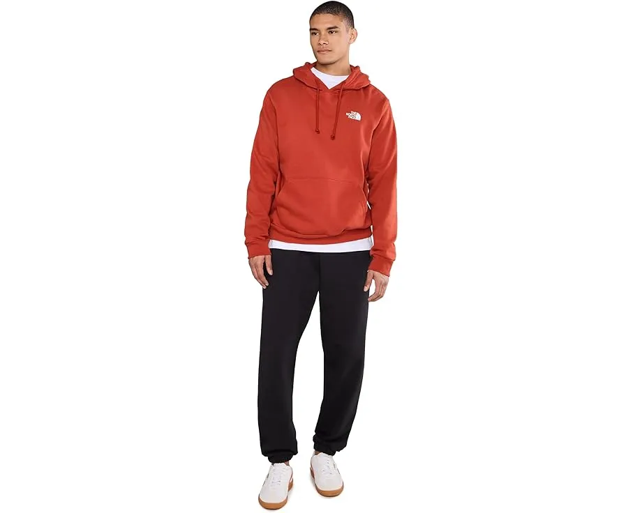 Толстовка The North Face Evolution Box NSE с капюшоном и принтом на спине