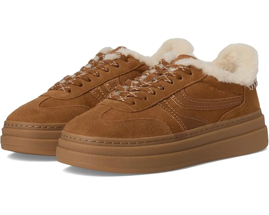 Кроссовки Steve Madden Dodge из замши на шнуровке