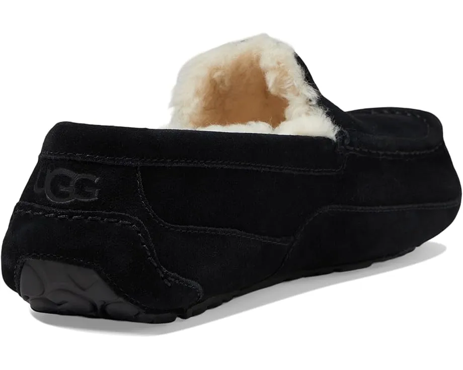 Тапочки UGG Ascot из натуральной замши с подкладкой UGGplush