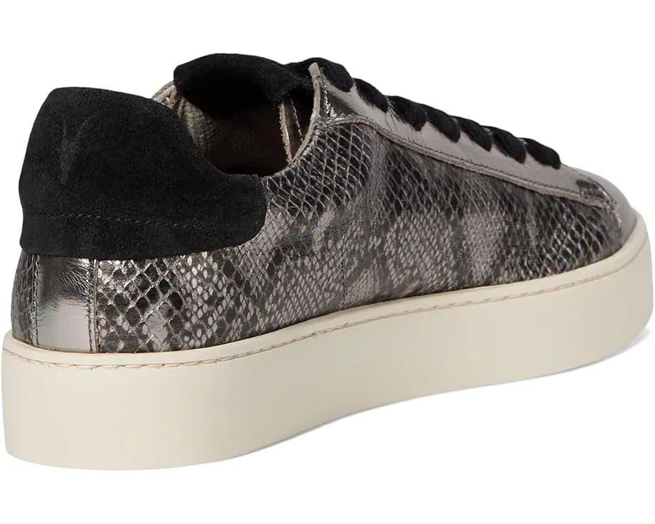 Кроссовки Shana Met из кожи с замшевыми вставками AllSaints