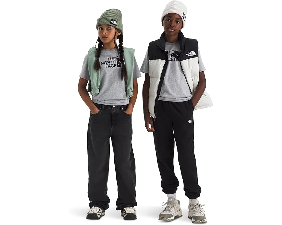 Детская футболка The North Face Kids Evolution Half Dome с коротким рукавом