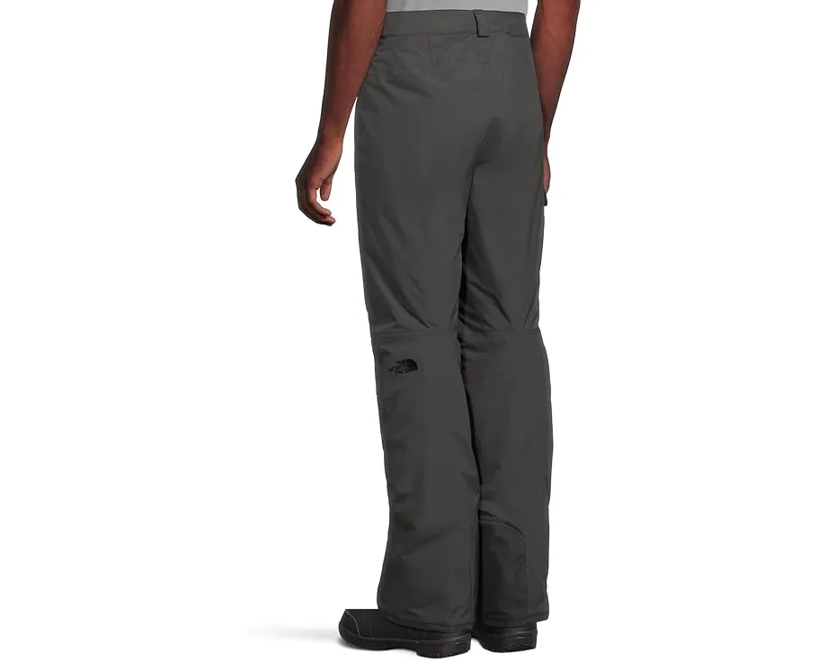 Утепленные лыжные брюки The North Face Freedom с изоляцией 60 г