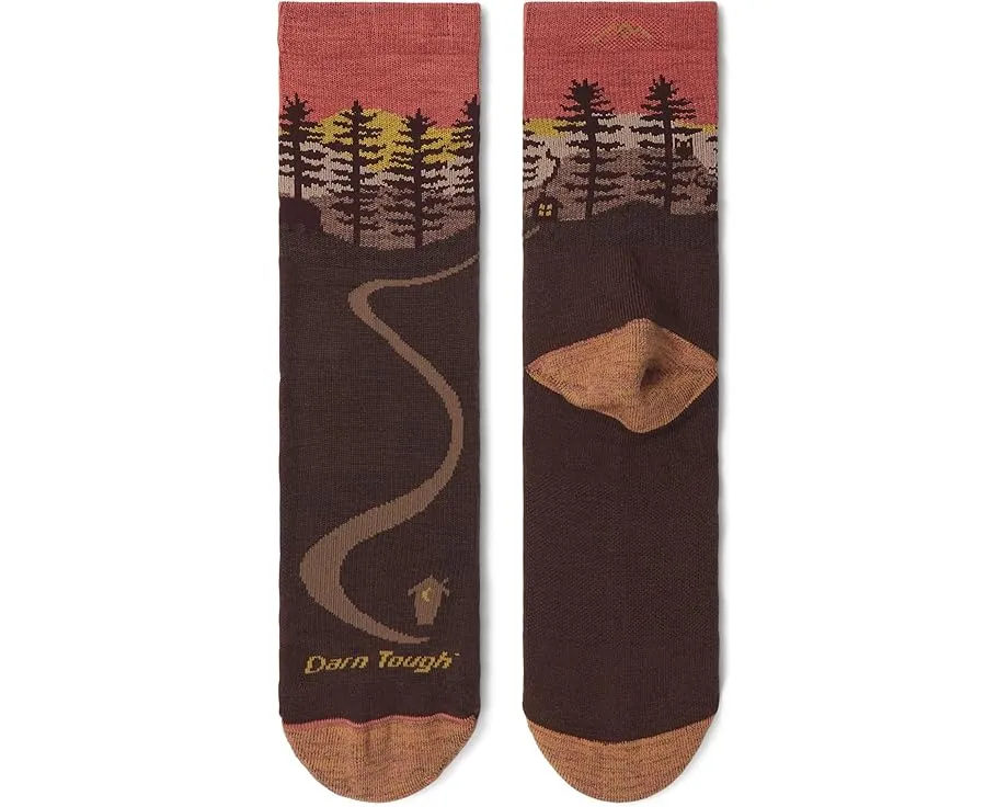 Носки Darn Tough Northwoods Micro Crew с амортизацией средней плотности