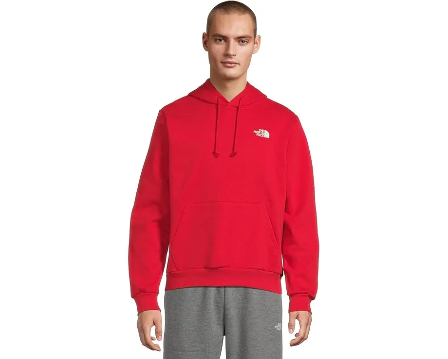 Толстовка The North Face Evolution Box NSE с капюшоном и принтом на спине