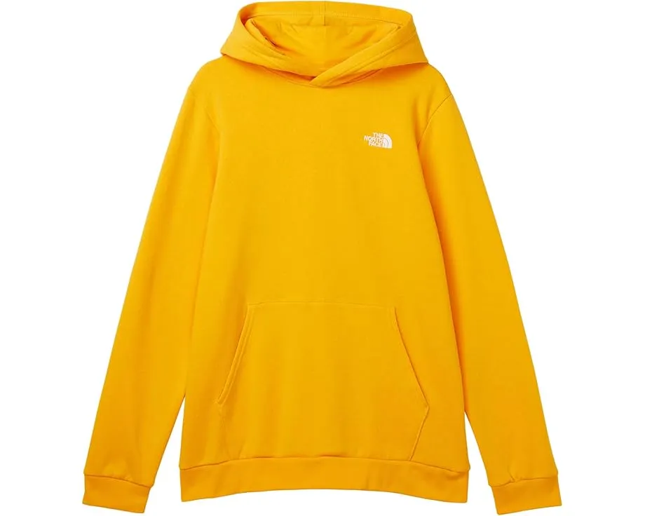 Толстовка The North Face Kids Evolution EMB с капюшоном и карманом кенгуру