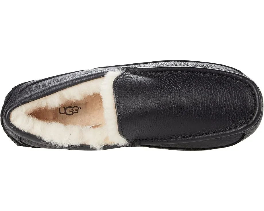 UGG Ascot Leather домашние тапочки с подкладкой UGGPlush