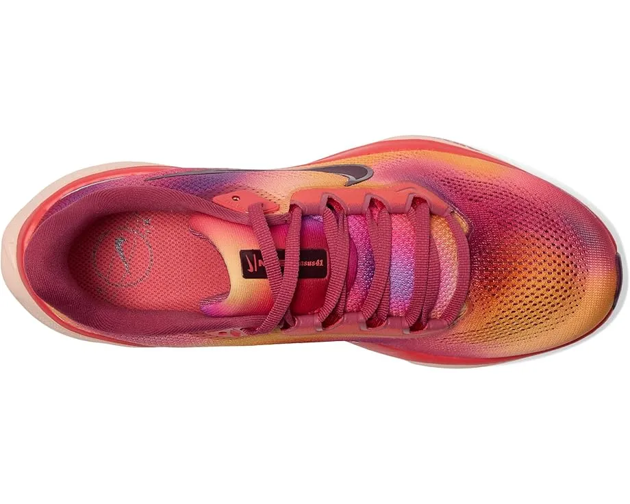 Nike Pegasus 41 Special Edition с двойными амортизаторами Air Zoom и пеной ReactX