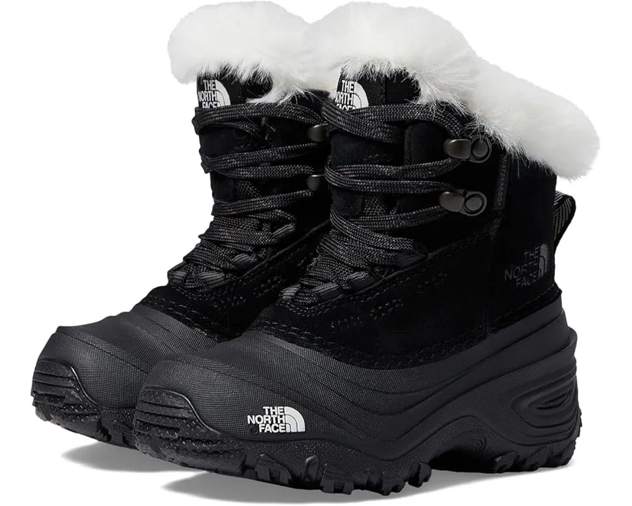 Детские зимние ботинки The North Face Shellista V Lace WP с утеплителем