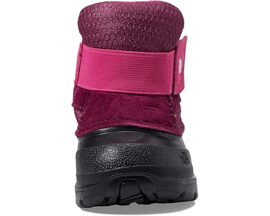 Детские зимние ботинки The North Face Kids Alpenglow II для малышей