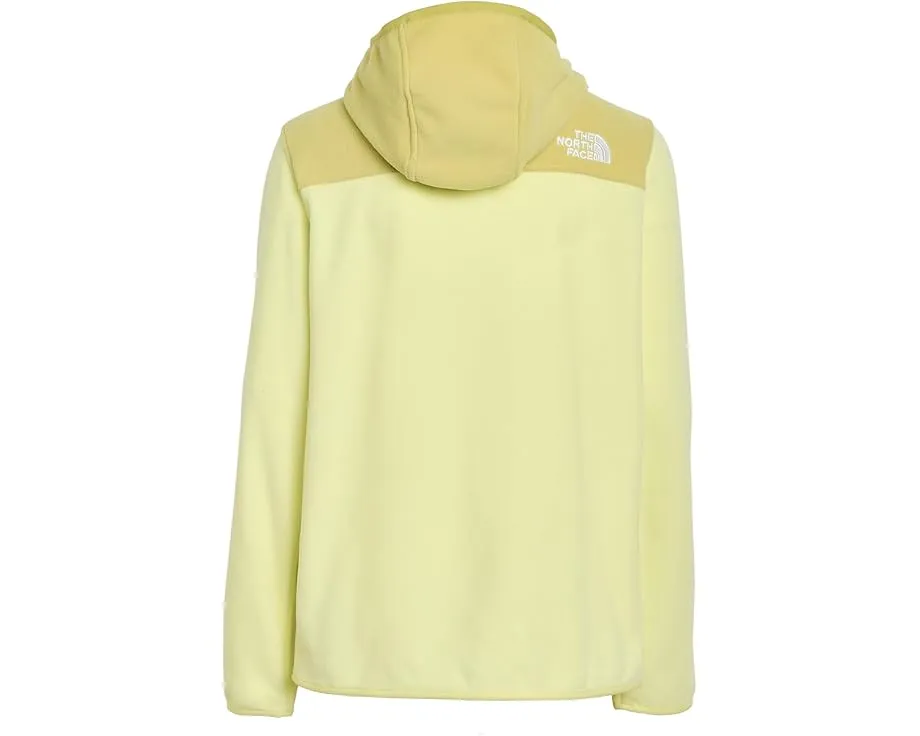 Толстовка The North Face Kids Glacier Full Zip из переработанного флиса