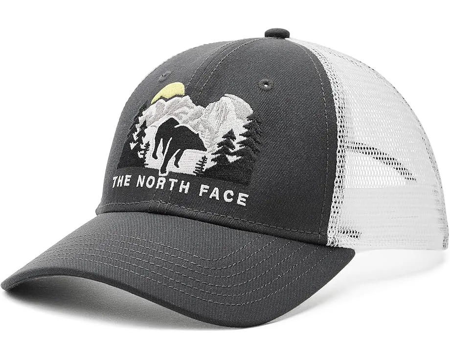 Кепка The North Face Embroidered Mudder Trucker с вышивкой и сеткой