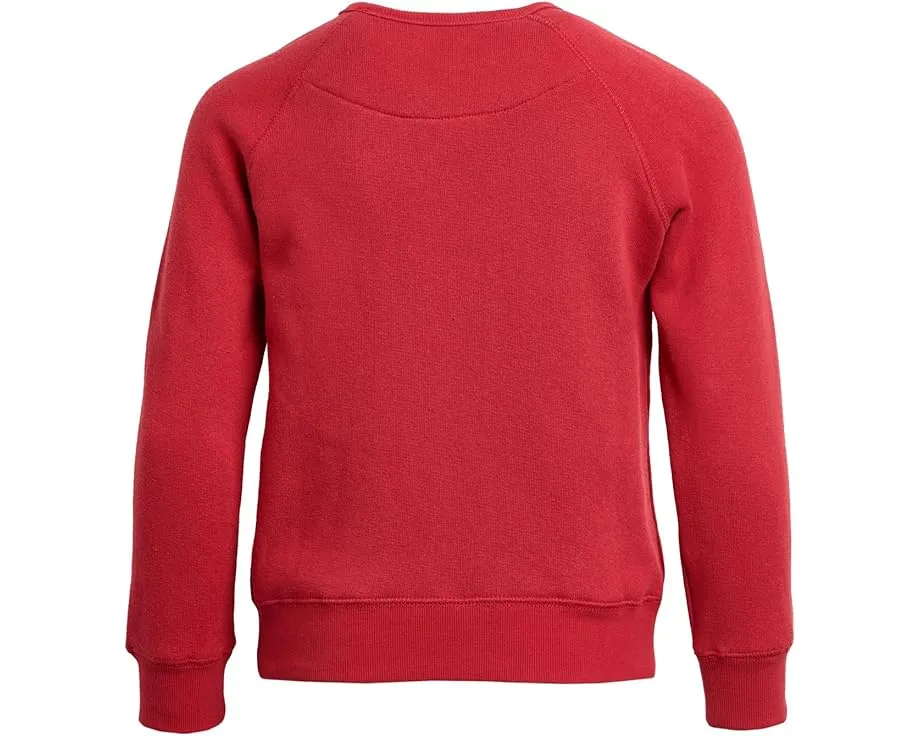 Футболка Junk Food Clothing Kids с длинным рукавом и принтом San Francisco 49ers для детей