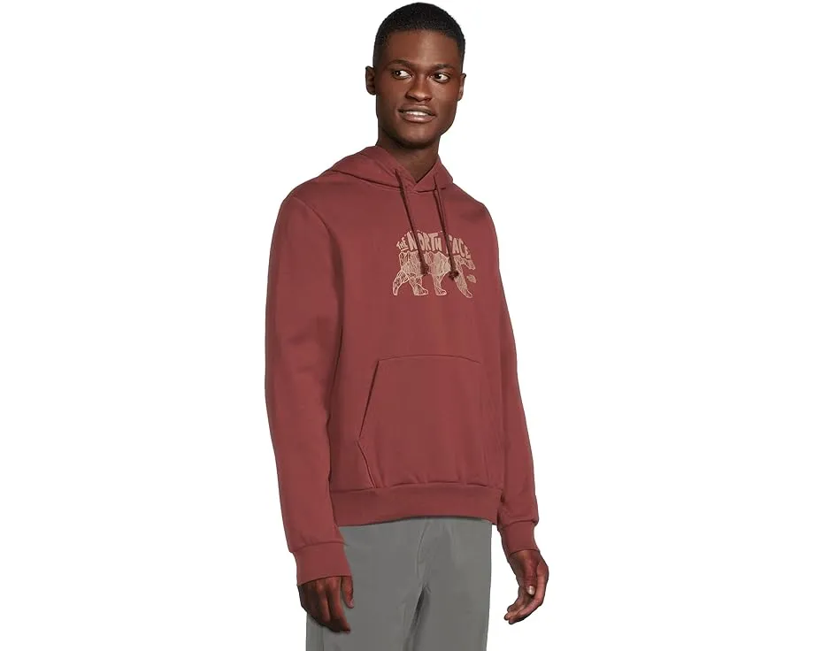 Толстовка The North Face Evolution TNF Bear с капюшоном и графикой