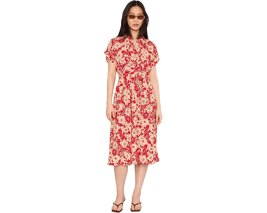 Платье Lauren Ralph Lauren Petite с цветочным принтом из крепа и поясом