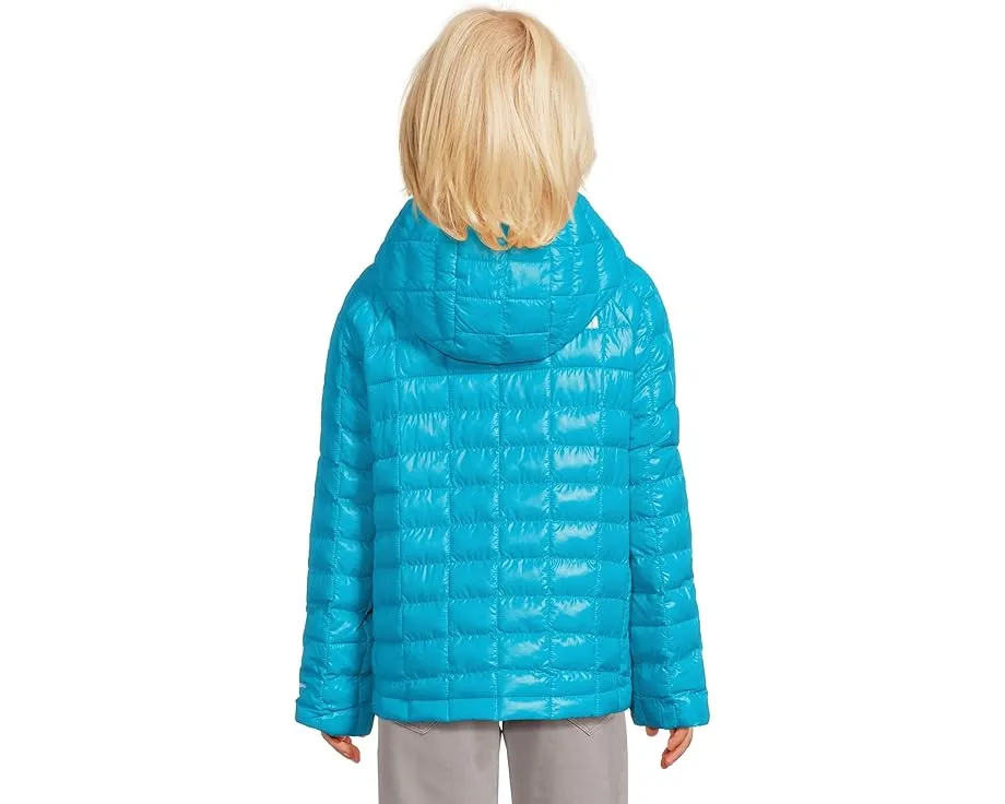 Детская утепленная куртка ThermoBall Hooded Jacket с капюшоном от The North Face Kids