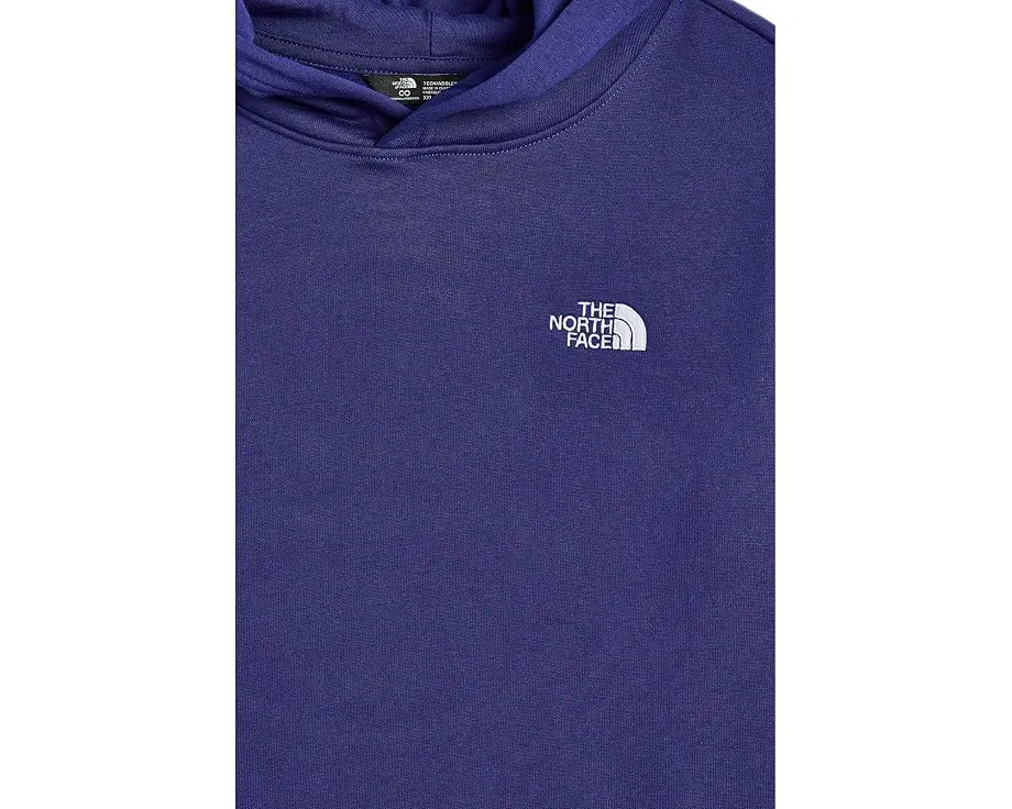 Худи The North Face Evolution Simple Dome Pullover для детей