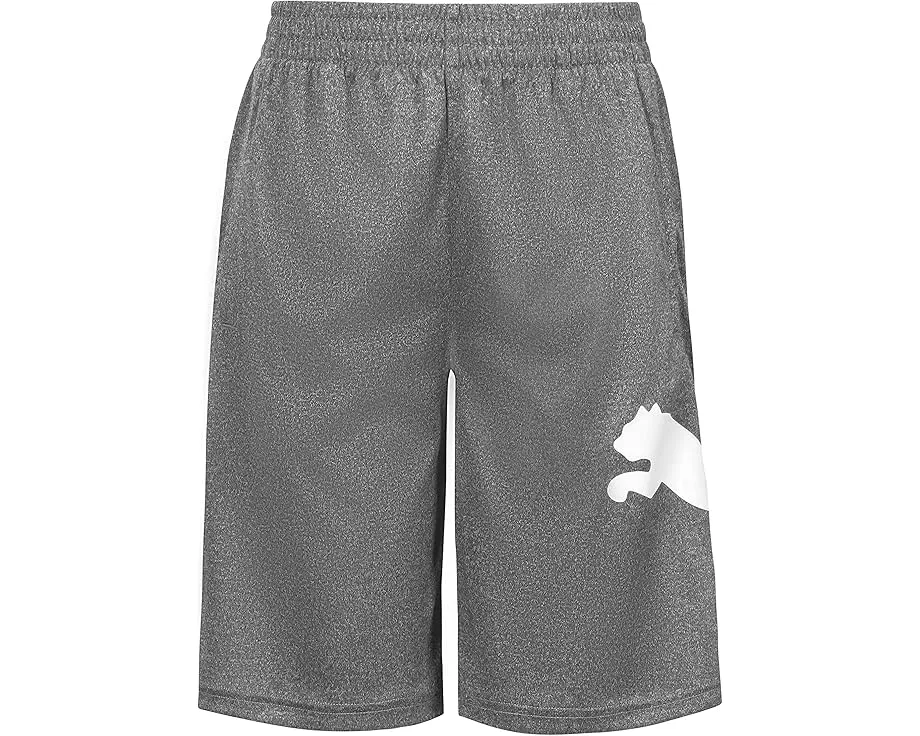 Спортивные шорты Boys Core Essential Puma