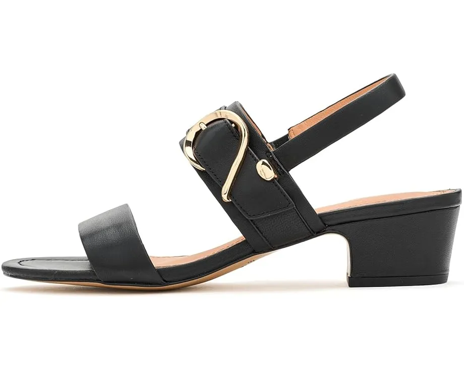 Городские сандалии Andre Assous Patresa на устойчивом каблуке с ремешком