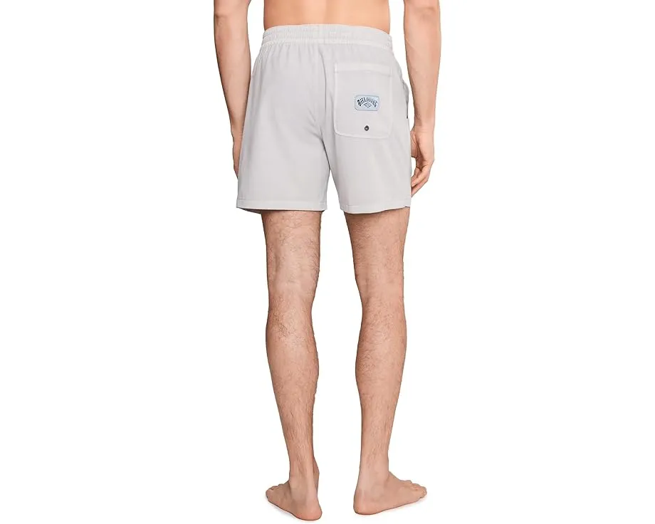 Плавательные шорты Billabong Every Other Day WW LB серого цвета