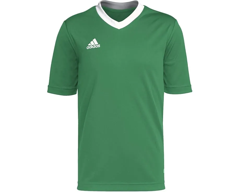 Футболка Adidas Entrada22 Jersey для детей с технологией AEROREADY