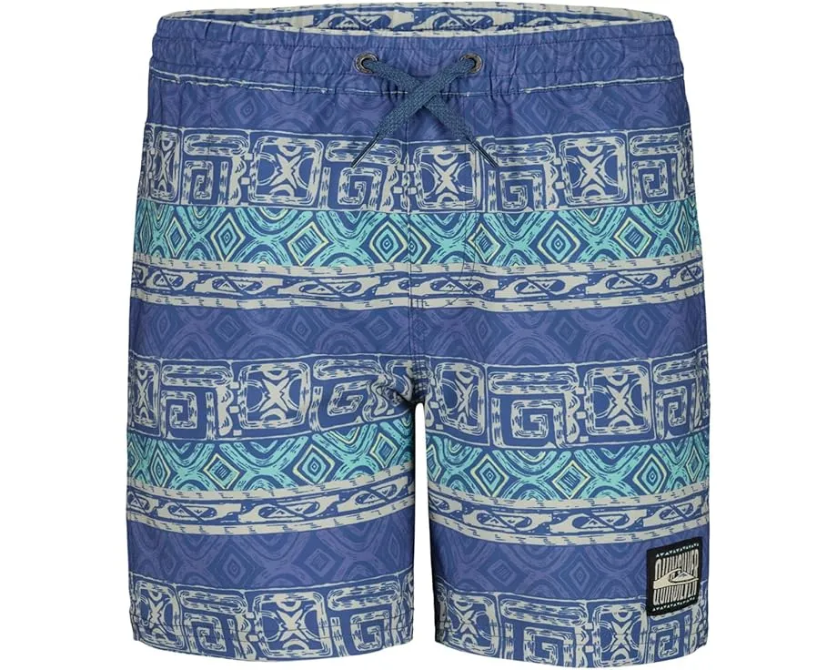 Шорты для плавания Quiksilver Surfsilk Global Volley с водоотталкивающей отделкой