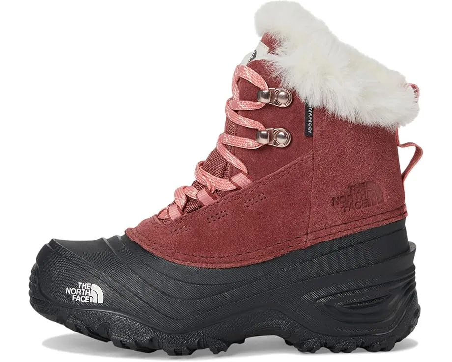 Детские непромокаемые ботинки для походов The North Face Shellista V