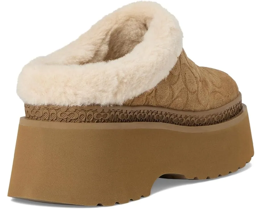 Сабо COACH Cecelia из замши с подкладкой из овчины