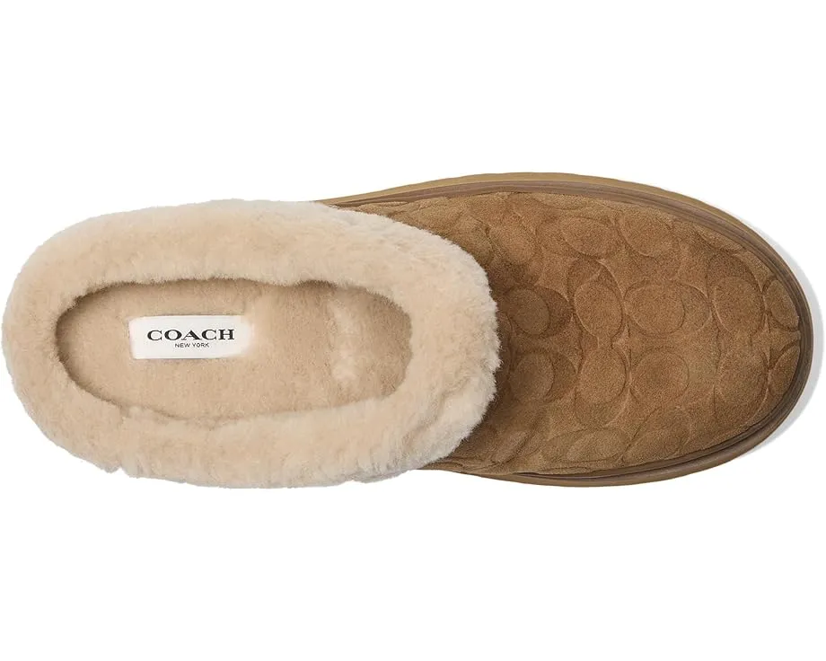 Сабо COACH Cecelia из замши с подкладкой из овчины