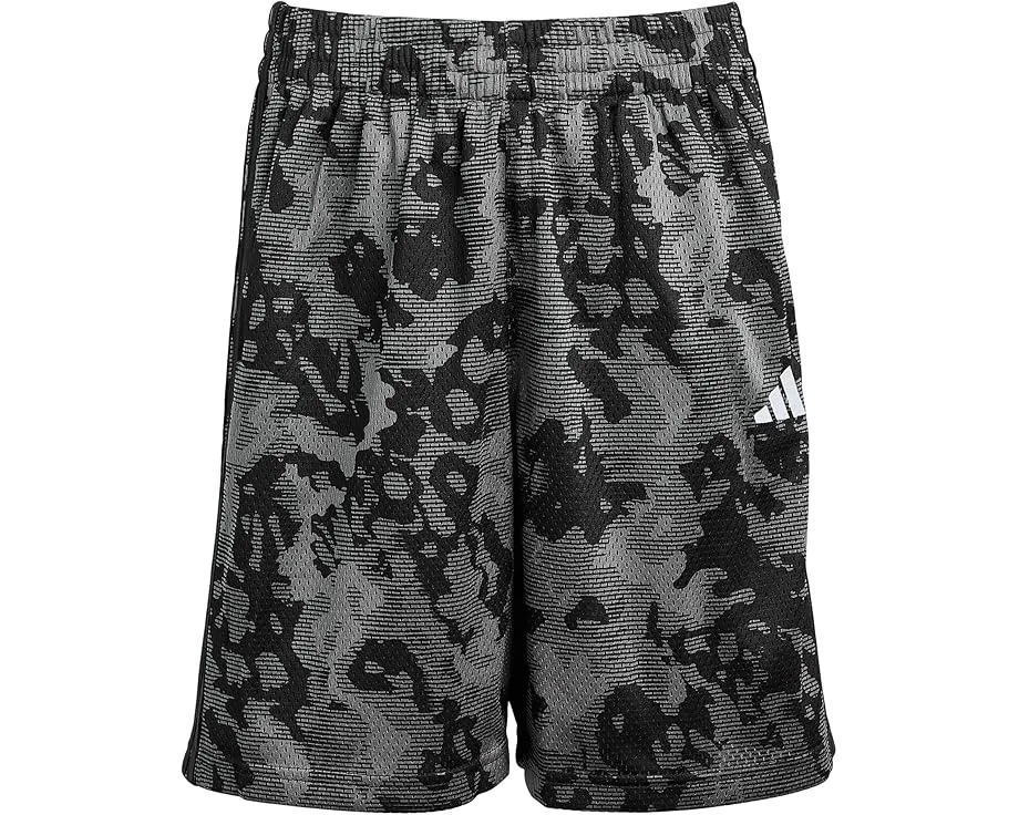 Шорты adidas Kids Aop Camo с камуфляжным принтом и эластичным поясом