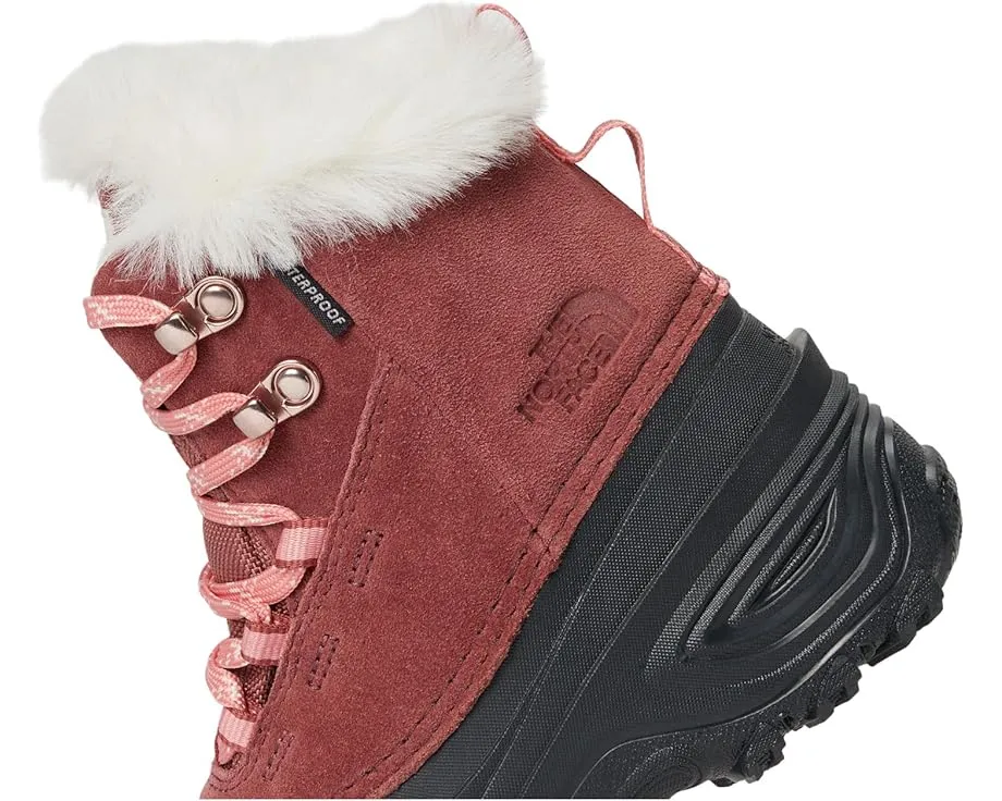 Детские непромокаемые ботинки для походов The North Face Shellista V