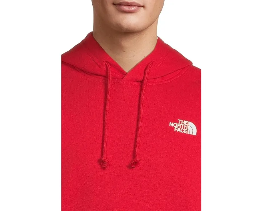 Толстовка The North Face Evolution Box NSE с капюшоном и принтом на спине