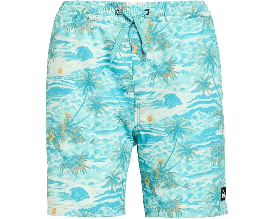 Детские шорты Surfsilk Mix Volley с принтом и эластичным поясом Quiksilver