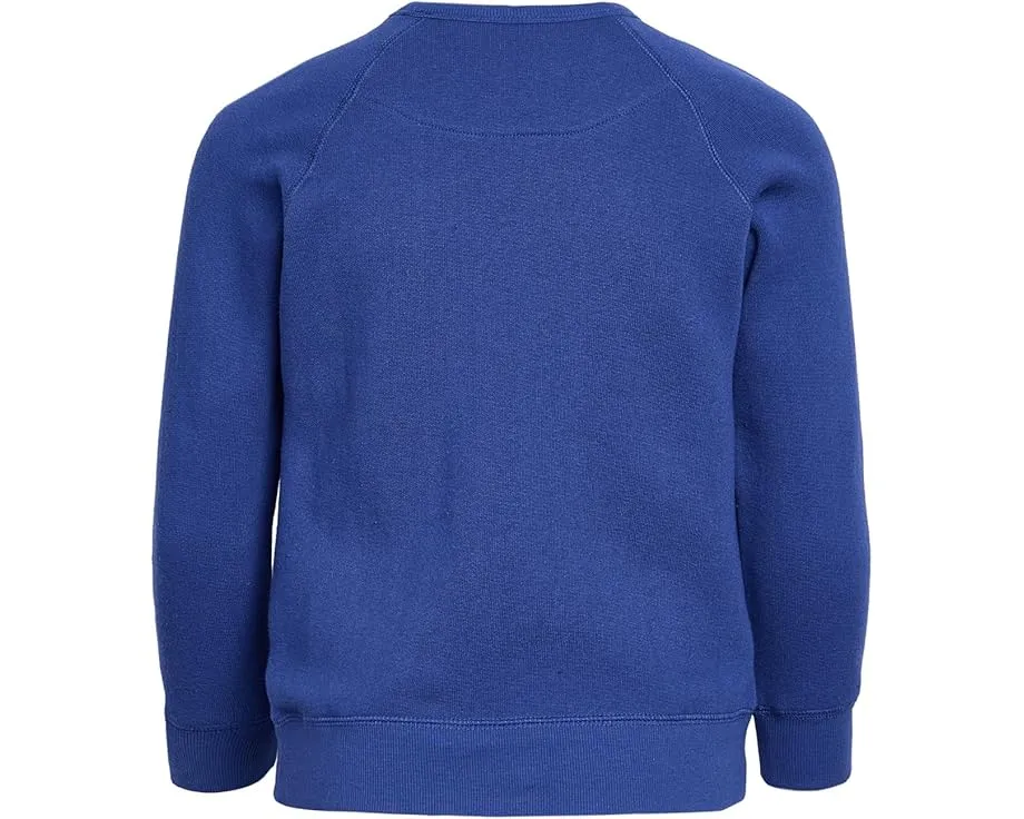 Футболка Junk Food Clothing Kids с длинным рукавом и принтом New England Patriots для детей