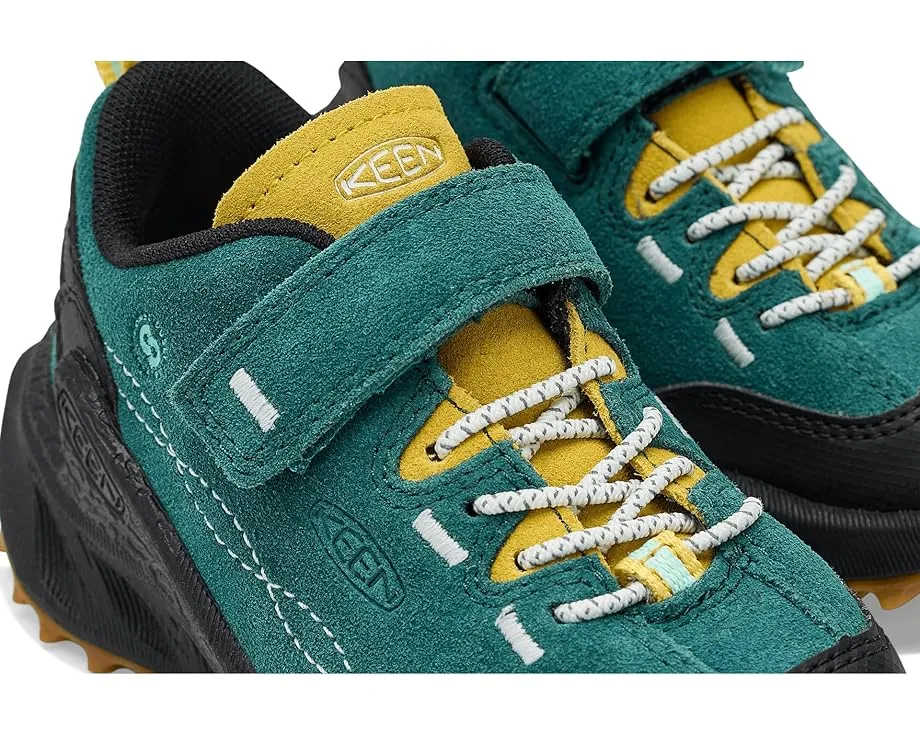 Треккинговые кроссовки KEEN Kids Jasper Zionic с контурной посадкой и защитной пяткой