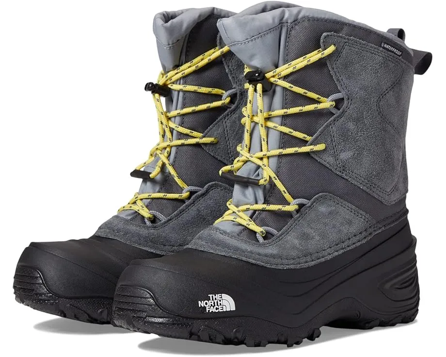 Детские водонепроницаемые ботинки The North Face Alpenglow V на шнурках-резинках