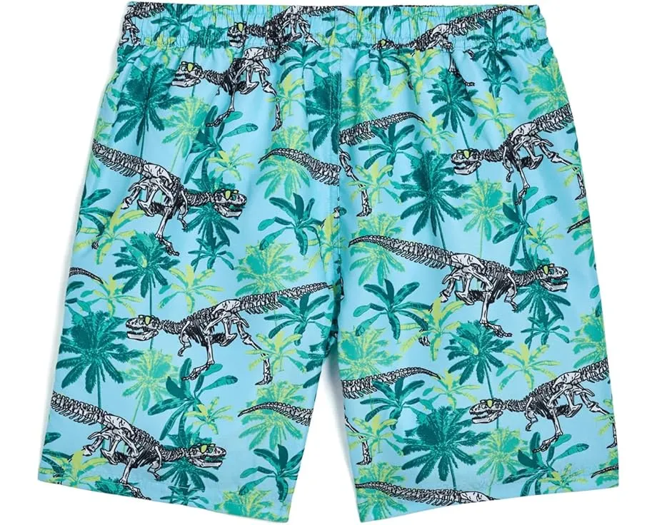 Плавки Skeleton Boardshorts из переработанного полиэстера
