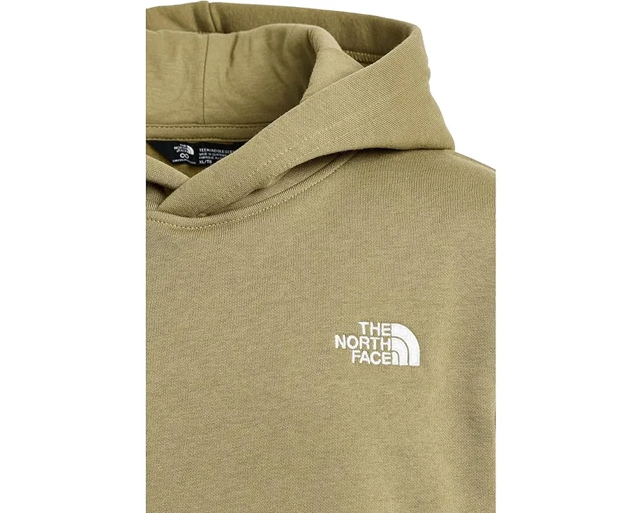 Худи The North Face Kids Evolution Simple Dome из переработанных материалов