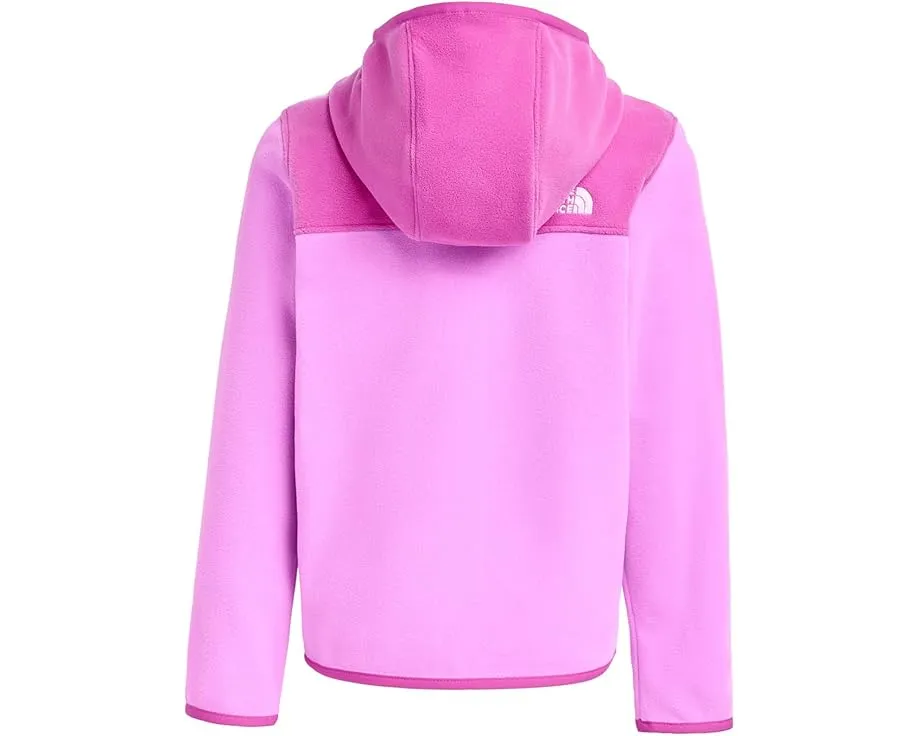 The North Face Kids Glacier худи на молнии для малышей