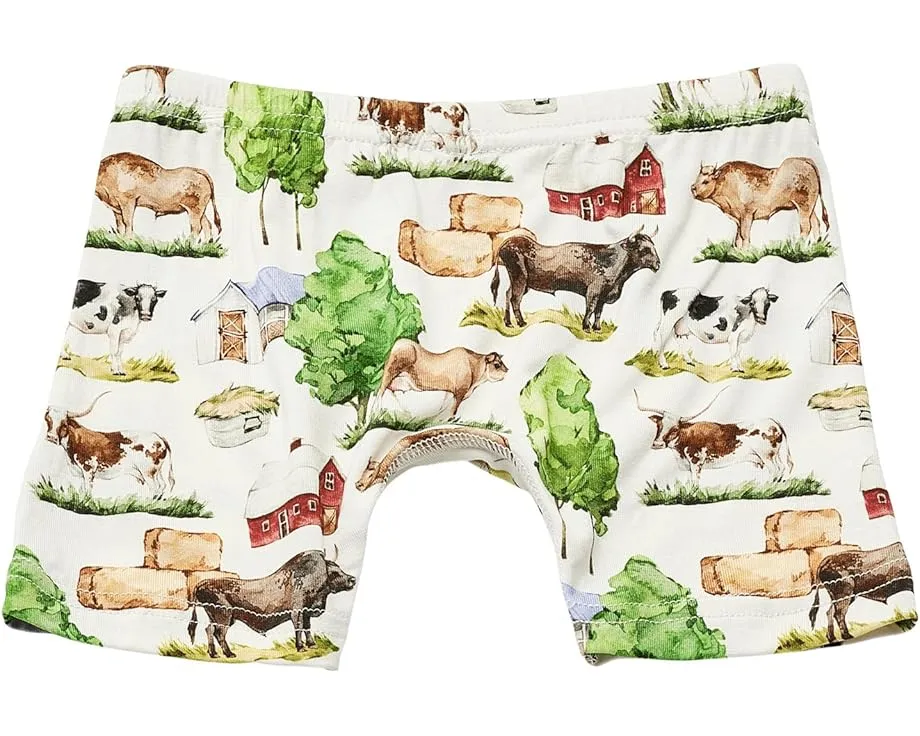 Набор из 3 боксеров для мальчиков Kickee Pants Kids с принтом и влагоотводящими свойствами