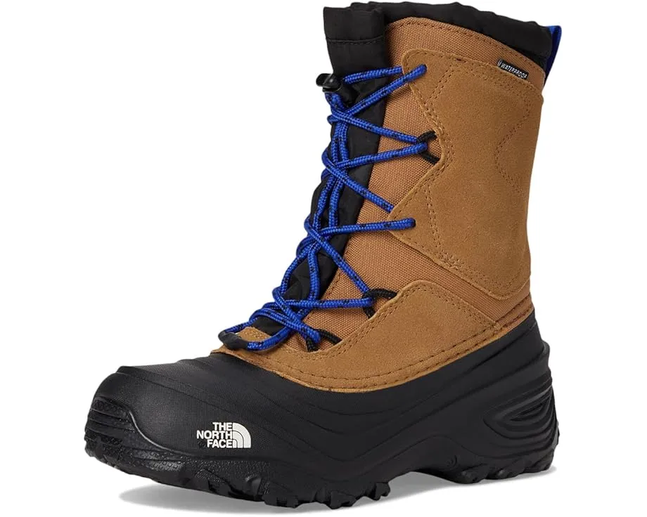 Детские непромокаемые зимние ботинки The North Face Alpenglow V