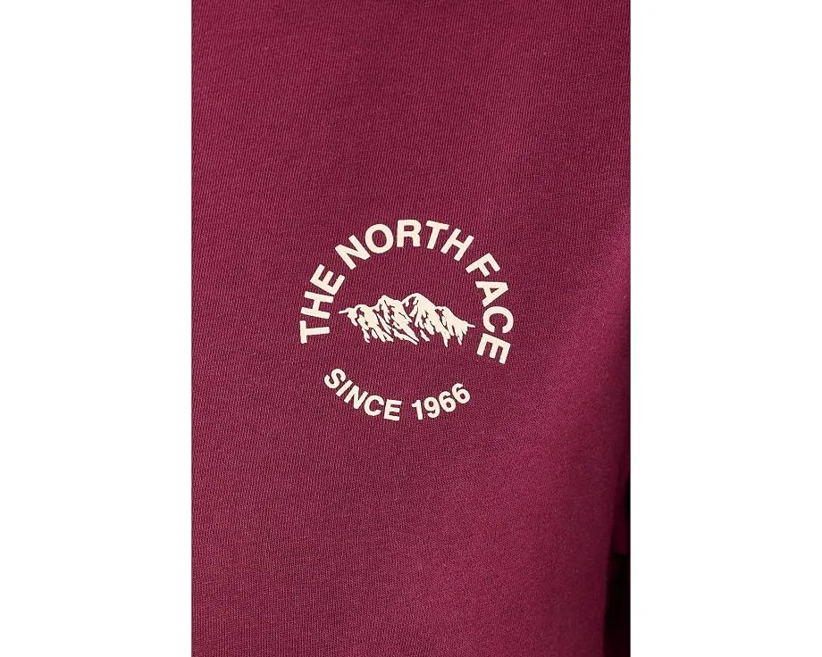 The North Face футболка Evolution TNF NSE Relaxed с коротким рукавом