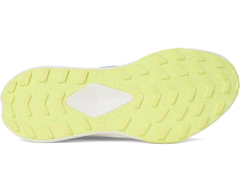 Детские кроссовки для бега и тренировок The North Face Altamesa