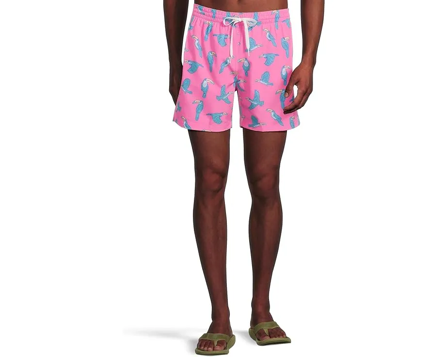 Плавки Chubbies The Toucan Do Its 5.5 дюймов (14 см) с подкладкой и карманом на молнии