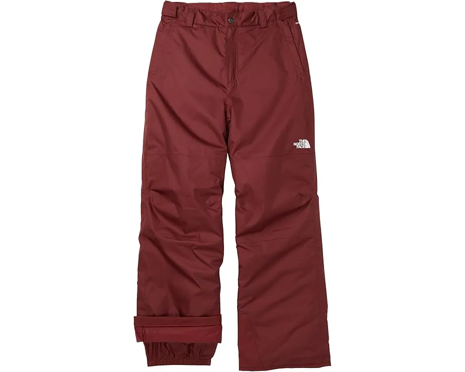 Утепленные штаны Freedom для детей с защитой от влаги The North Face Kids