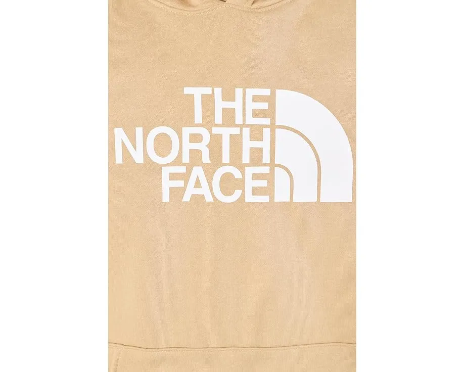 Классическая толстовка The North Face Evolution Half Dome с капюшоном