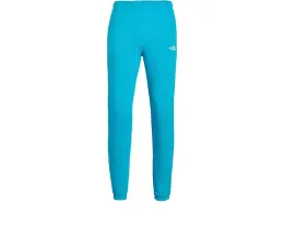 Штаны The North Face Kids Evolution Simple Dome из велюра